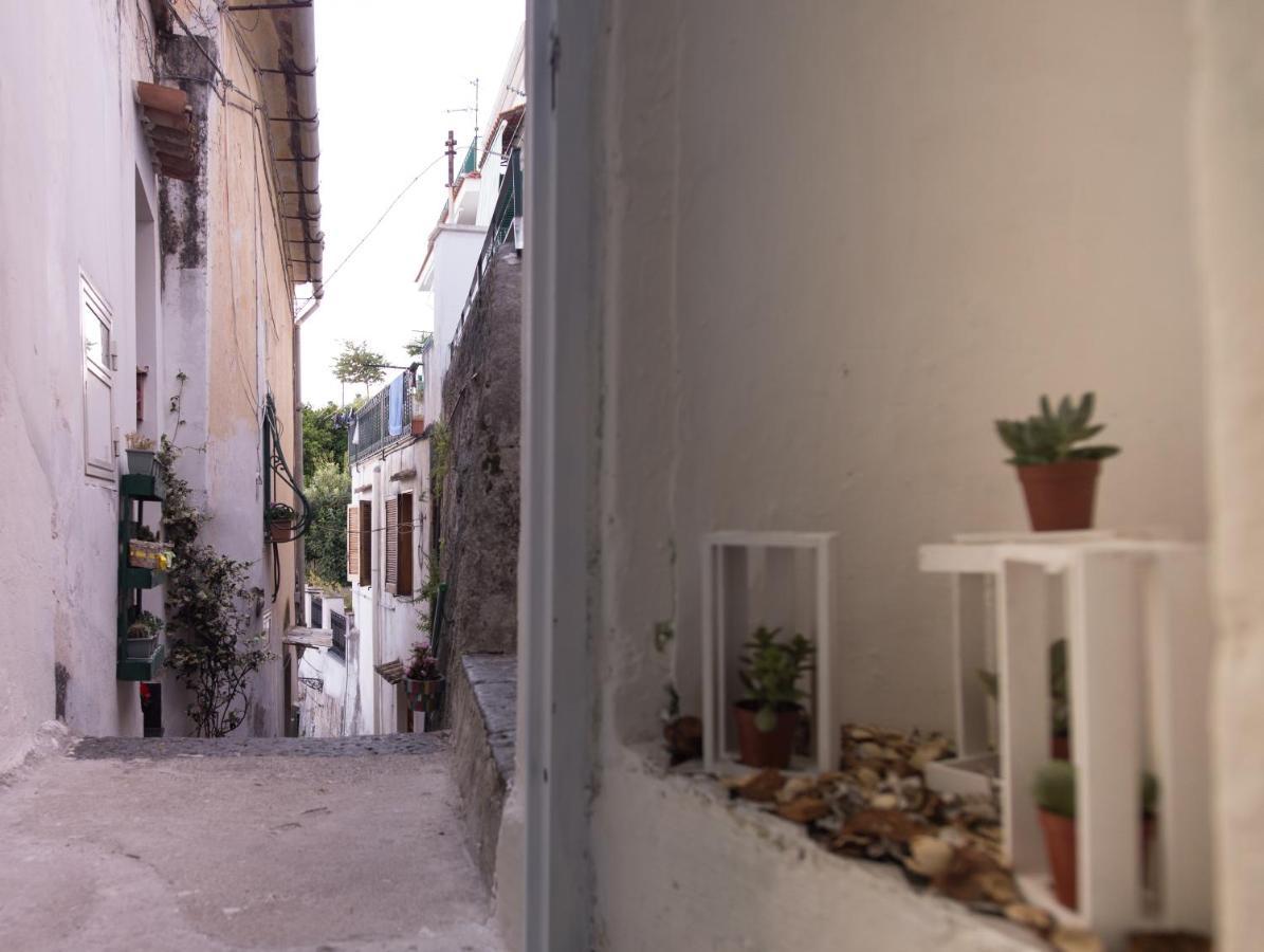 Amalfi Coast Sea View Villa Vietri sul Mare Exterior photo
